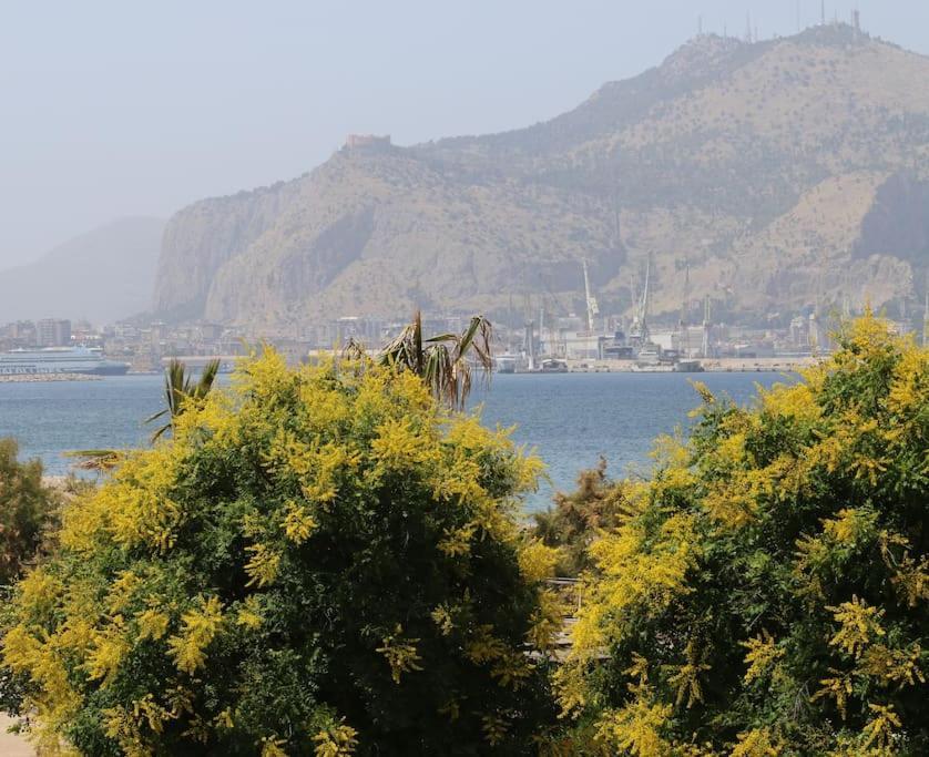 Nicare City Apartments Palermo Bagian luar foto